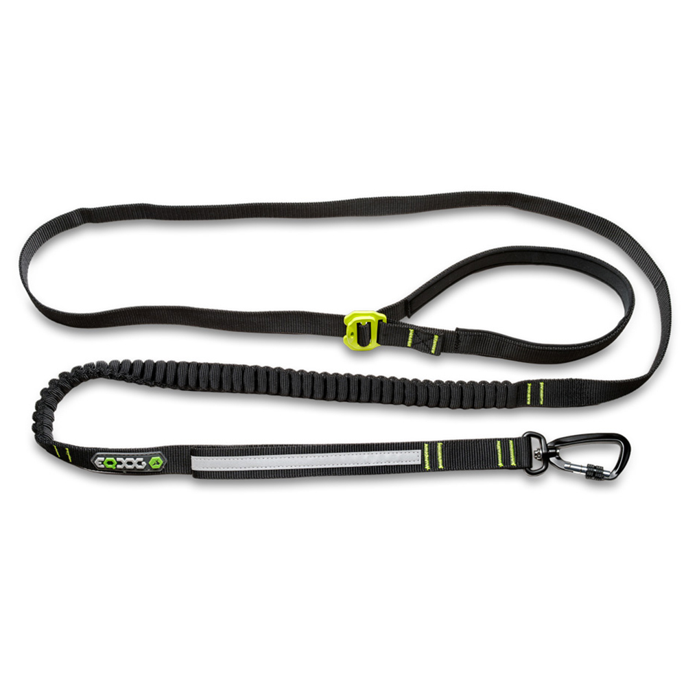 Leine, Kfz-Lead, Karabinerhaken, Reflektorband, Elastische Leine