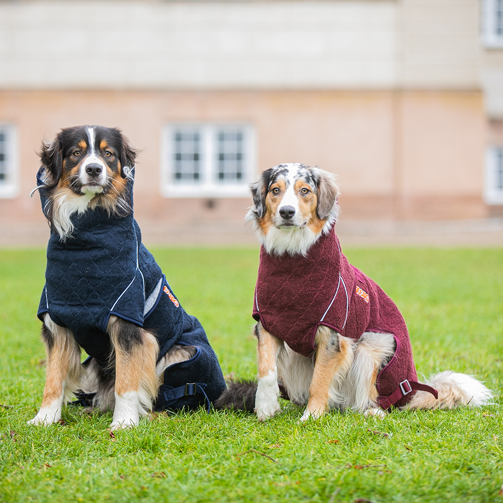 Hundemantel, Kapuzenmantel, Quilted coat, Schwarz, Bordeaux