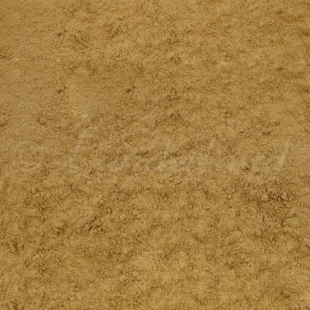 sand, sand texture, granular, beige, surface