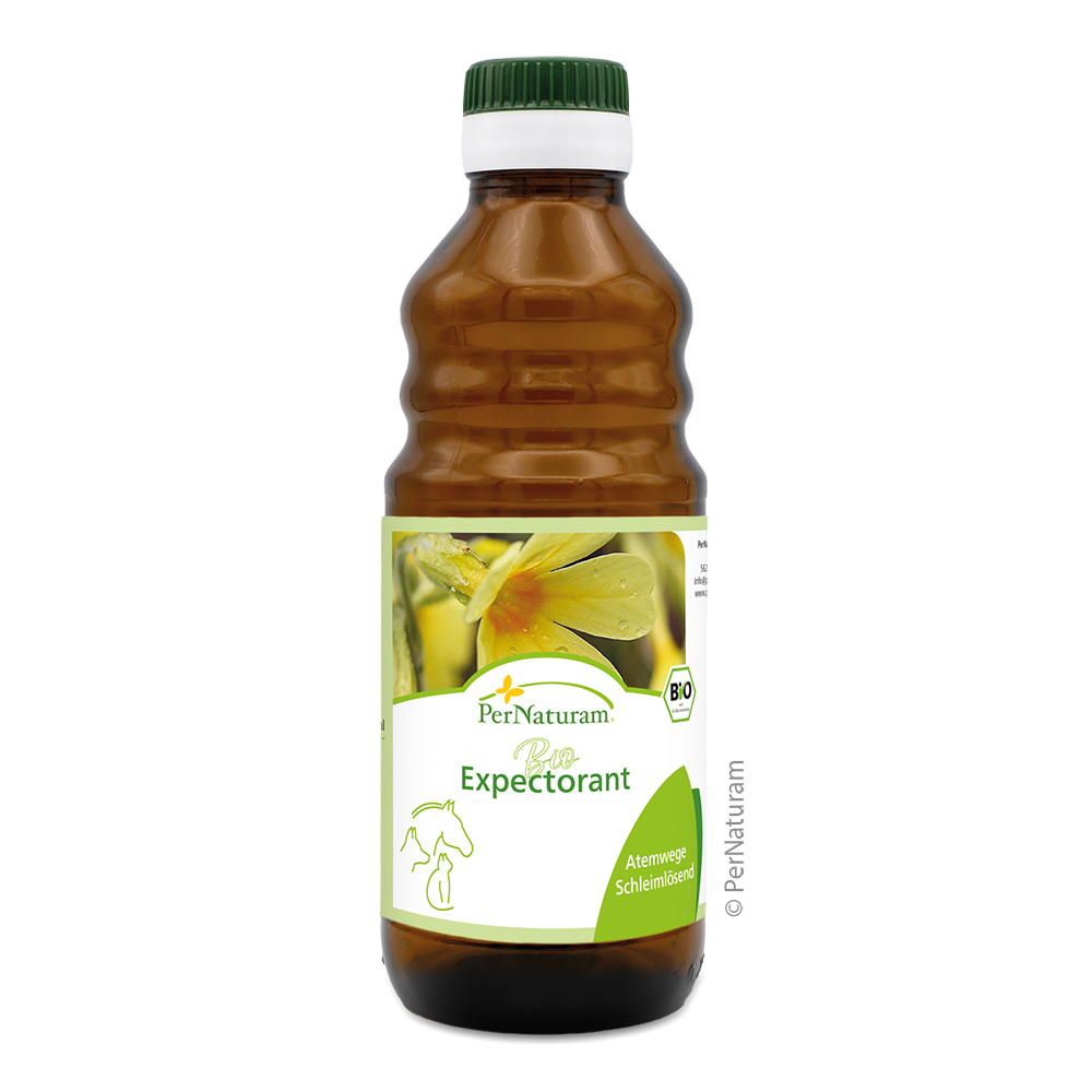 PerNaturam Bio Expectorant für Bronchien u. Husten 250ml DE-ÖKO-001 Essen, Ketchup