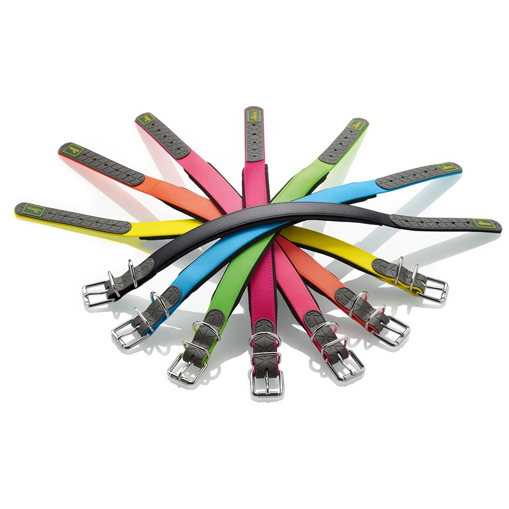 Gurtband, Hunde-Gurt, Kunststoffverschluss, farbeffekte, mehrfarbig