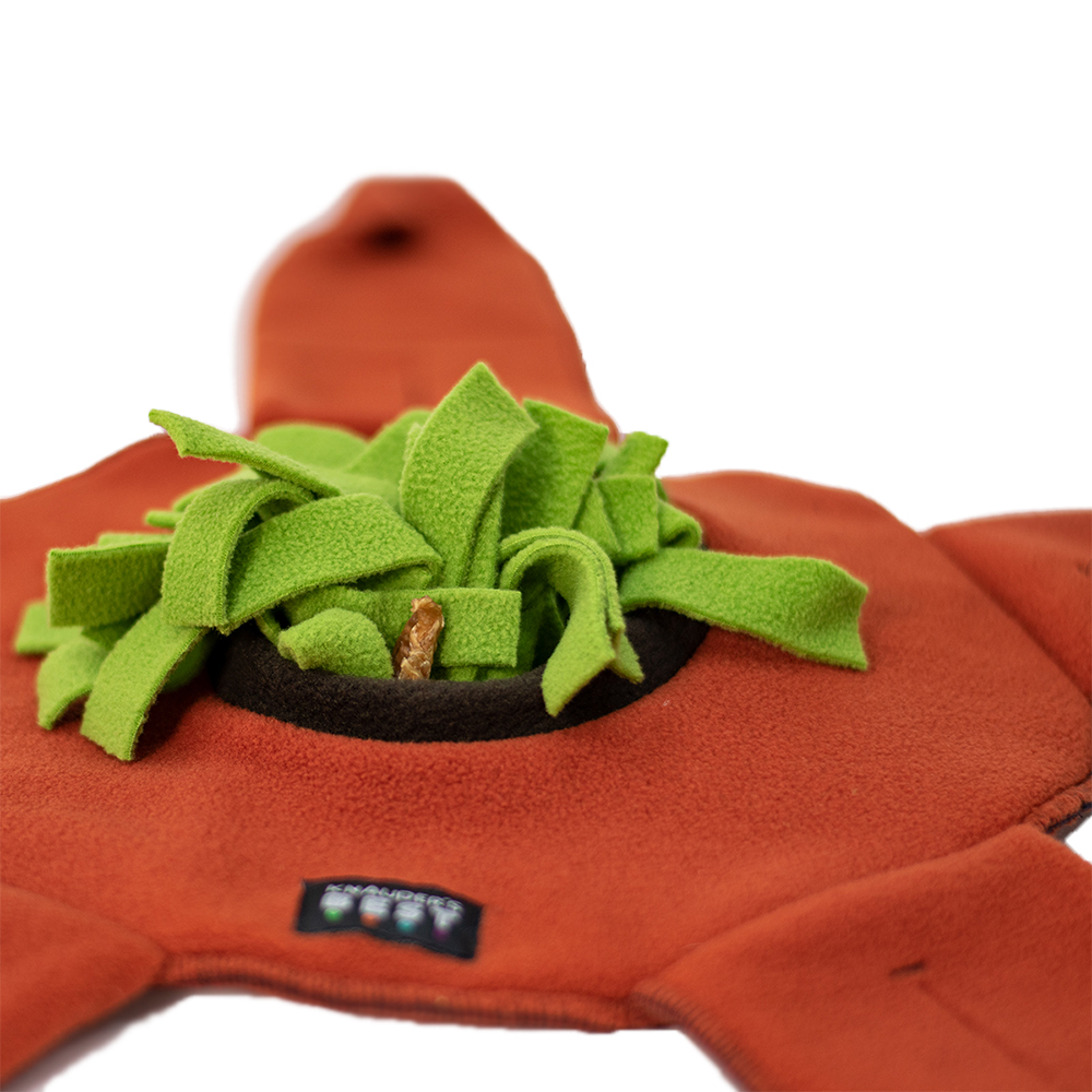 Kletterausrüstung, Kletterhandschuh, Klettermatte, Griffpolster, Grün