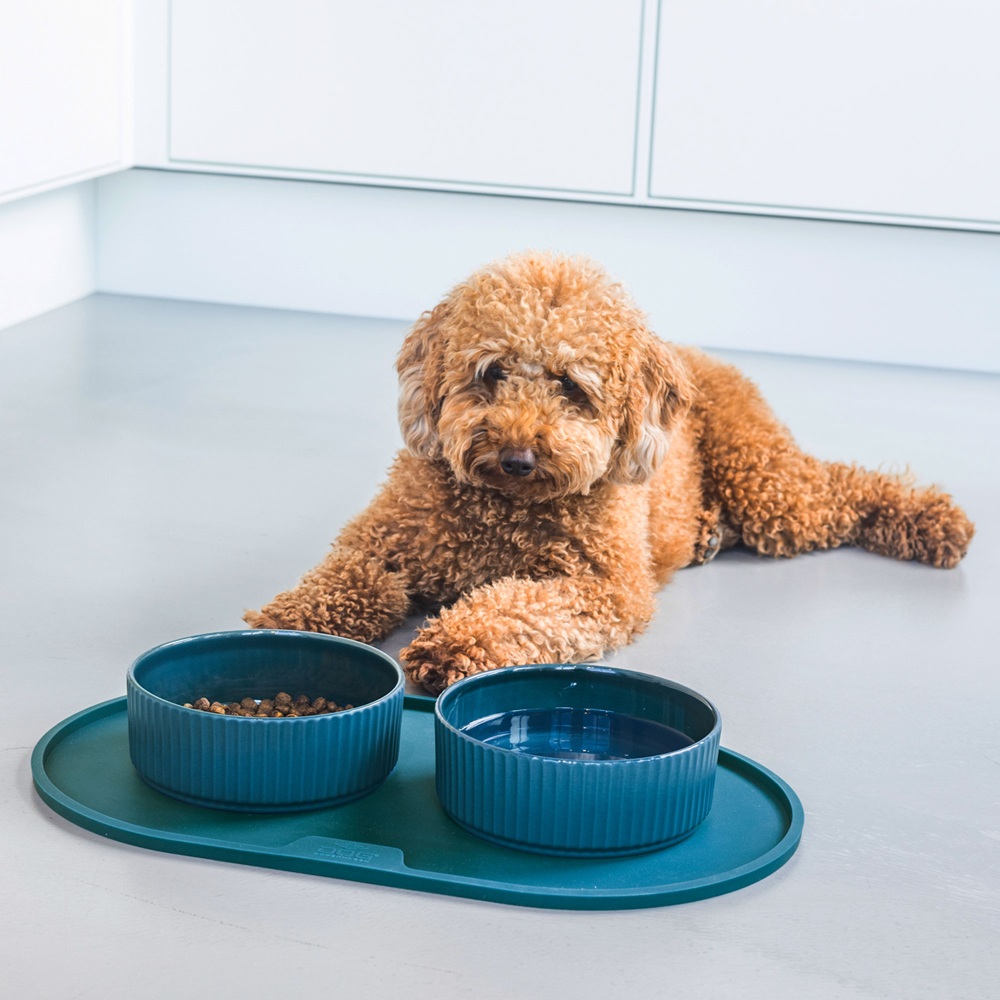 Hund, Hundeernährung, Hunde-Futter, Fressnapf, Futterstation