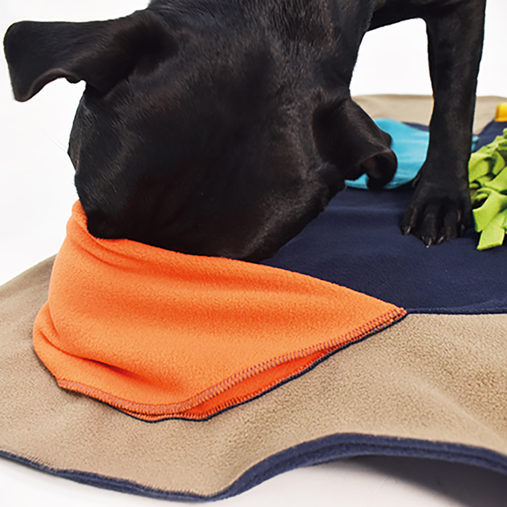 Hund, Bandana, Orange, Fleece, Hundematte