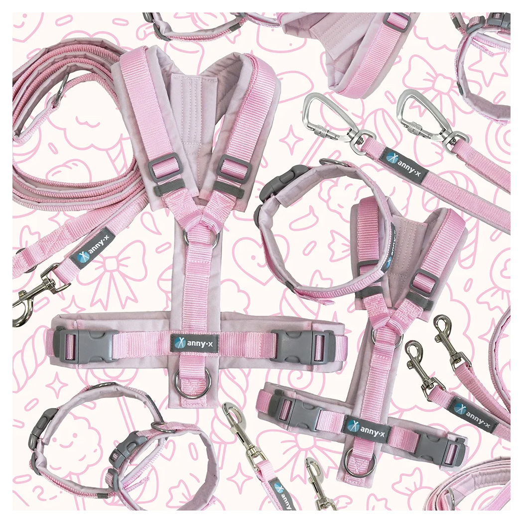 Harnais, Équipement pour animal, Rose, réglable, ensemble collier et laisse