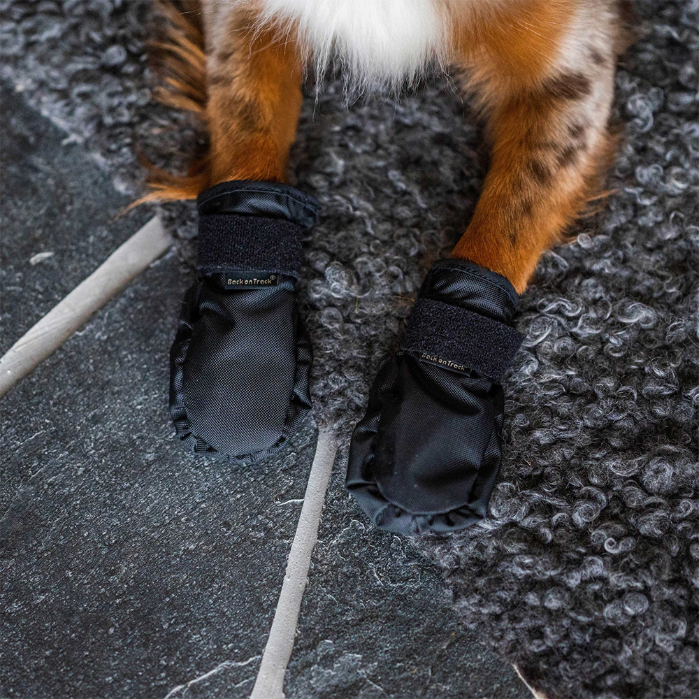 Pfotenreinigung, Schutzzangenschuhe, Outdoor-Mokassins, Gitter/Nutren, Tierpfoten