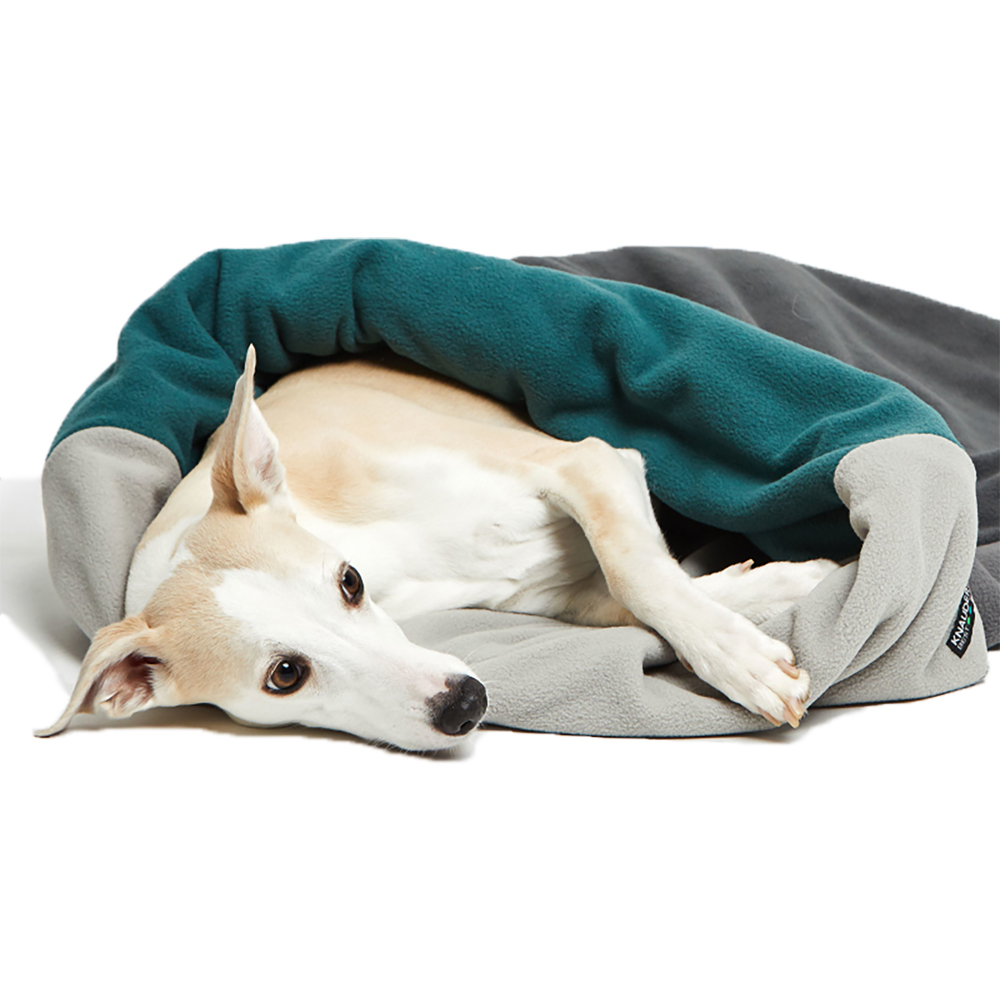 Hund, Säugetier, Haustier, Decke