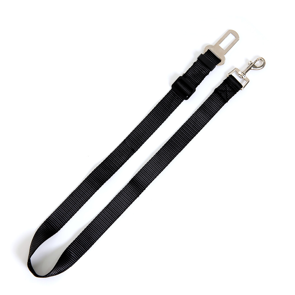 Zubehor, Riemen, Gürtel, Dolch, Waffe