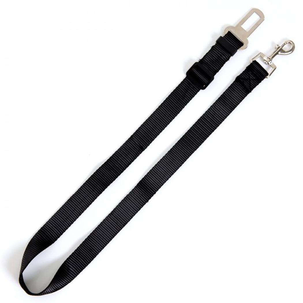 paracord, halsband, leine, schwarz, clip-karabiner