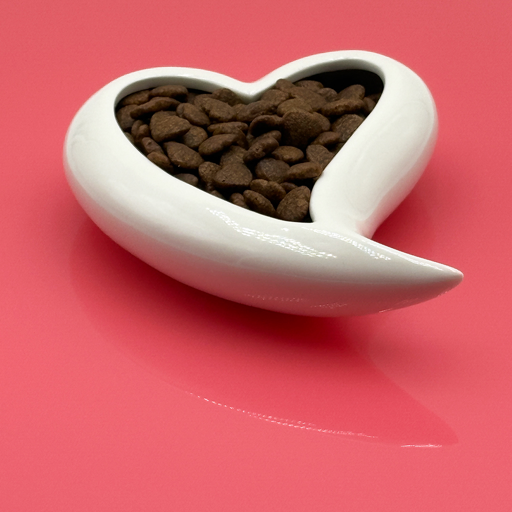 Herz-Schale, Katzenspeise, Trockenfutter, Schale, Lebensmittelbehälter