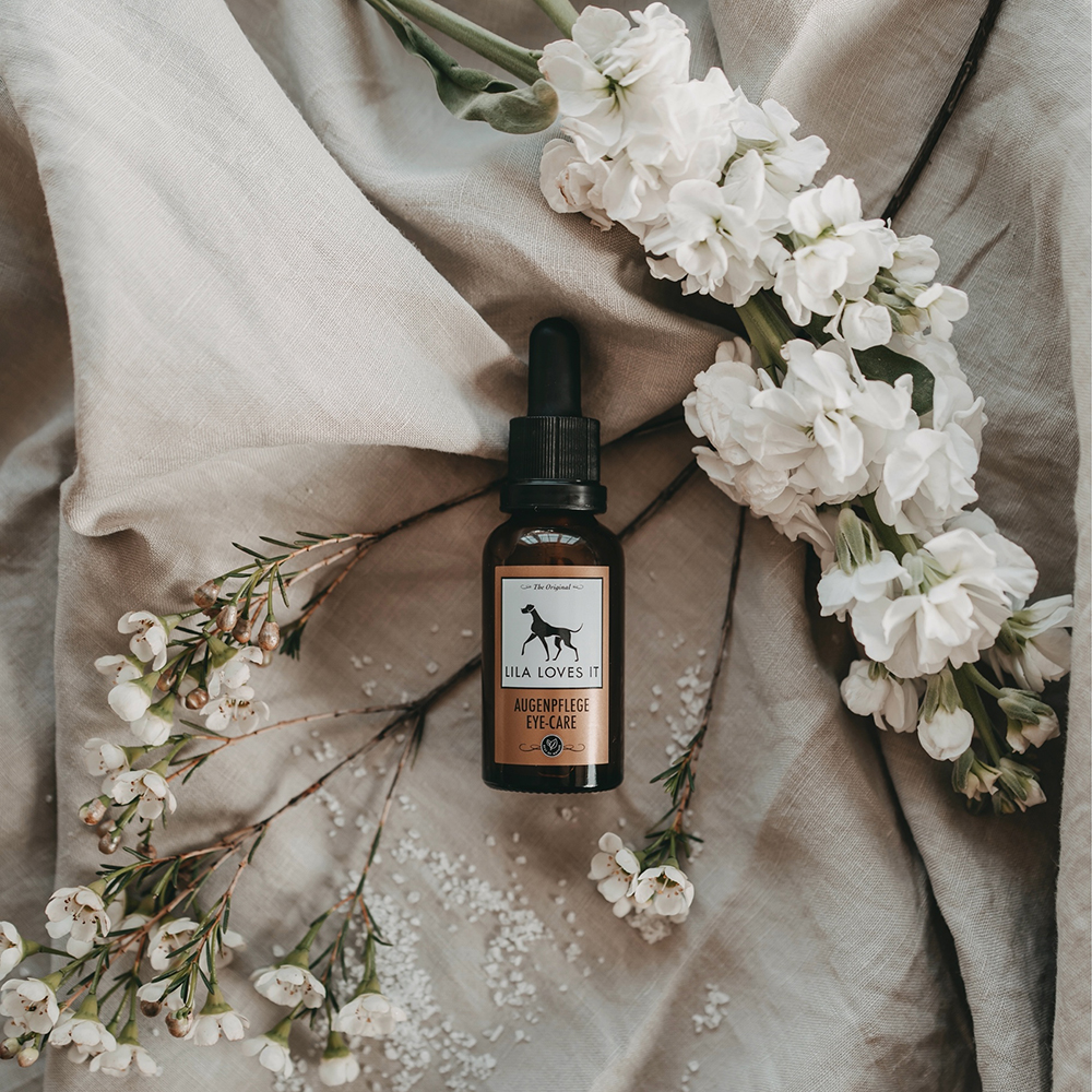 Blume, Pflanze, Blumen-Arrangement, Blütenblatt