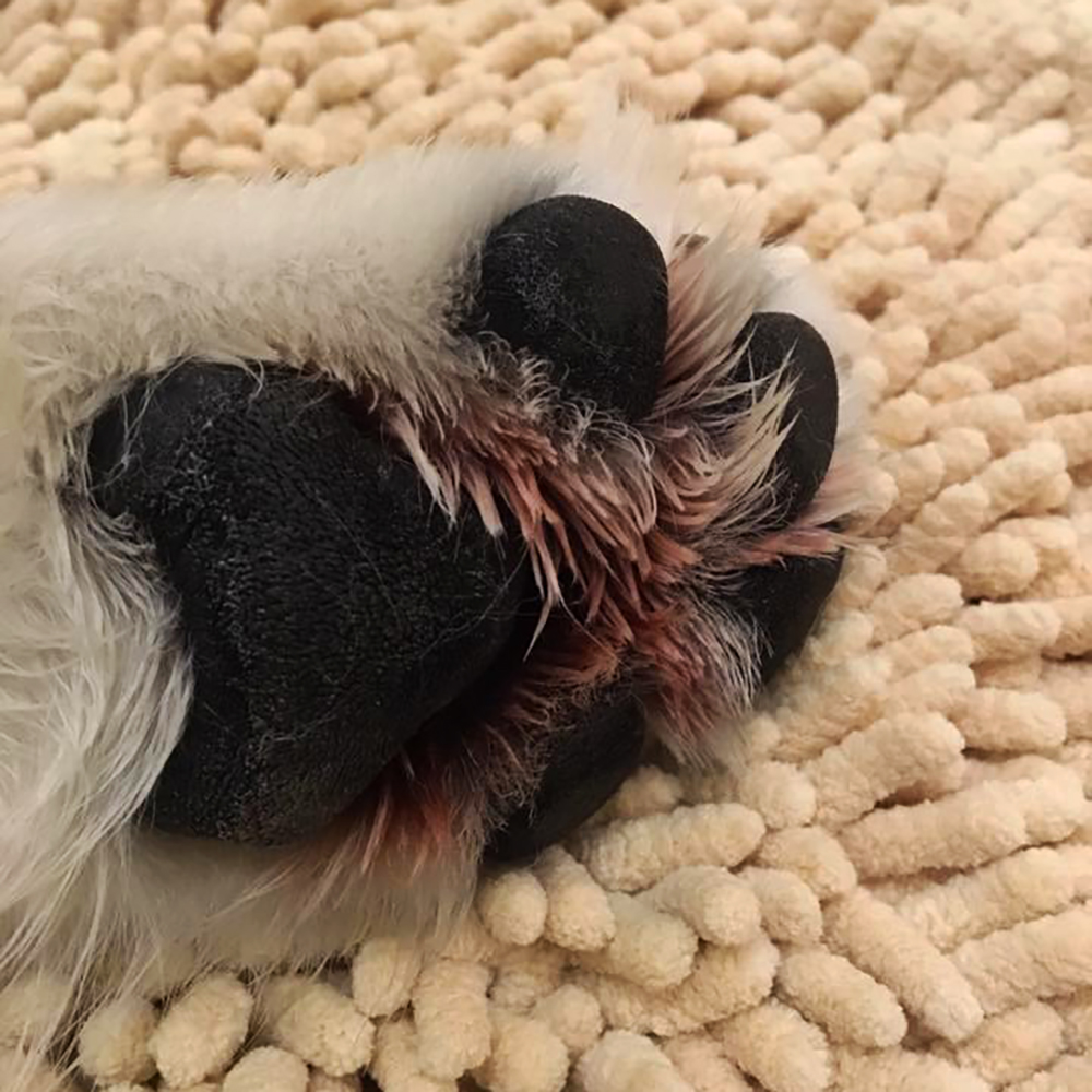 Elektronik, Hardware