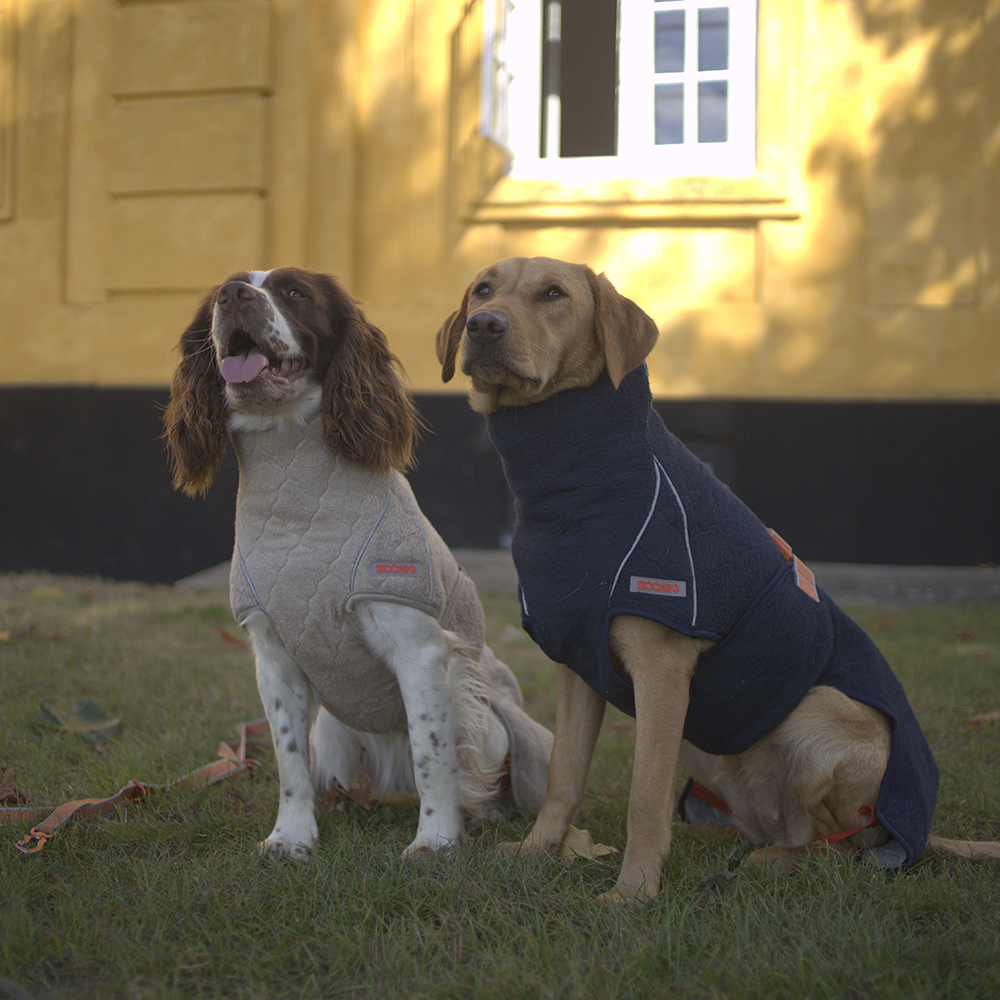 Hunde, Pullover, Sweatshirt, Grau, Dunkelblau