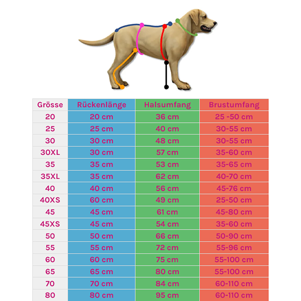 Hund, Hundegeschirr, Hundehalsband, Messleiste, Größentabelle