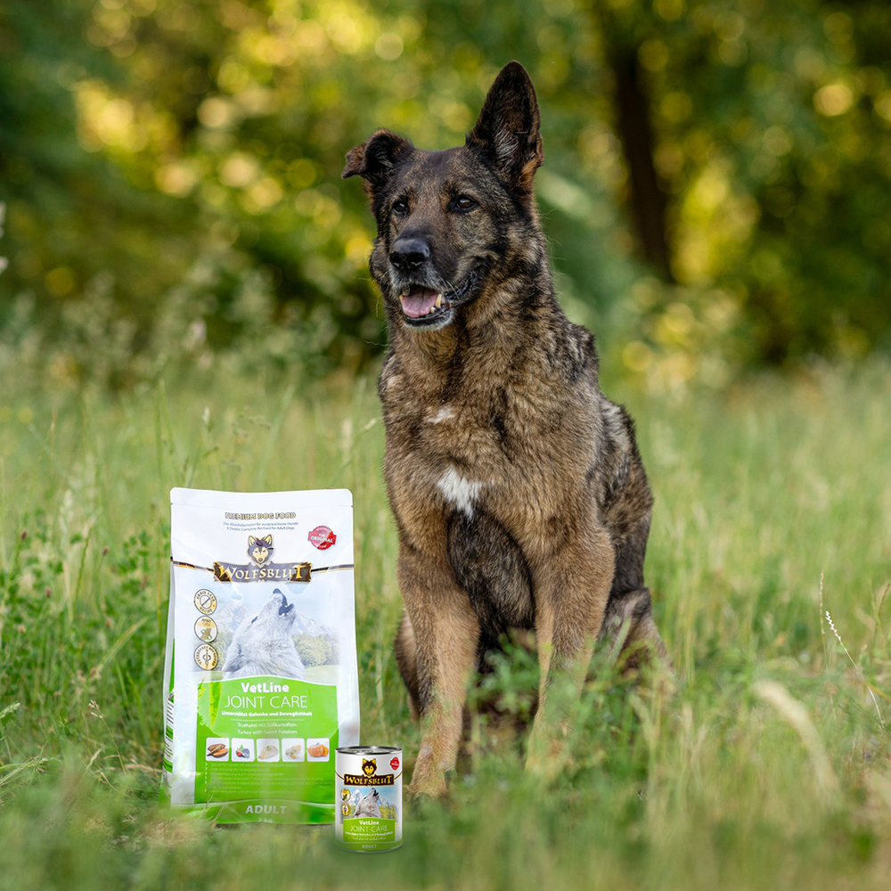 Wolfsblut Vetline Trockenfutter Joint Care 2kg oder 12kg - Gelenke - Truthahn