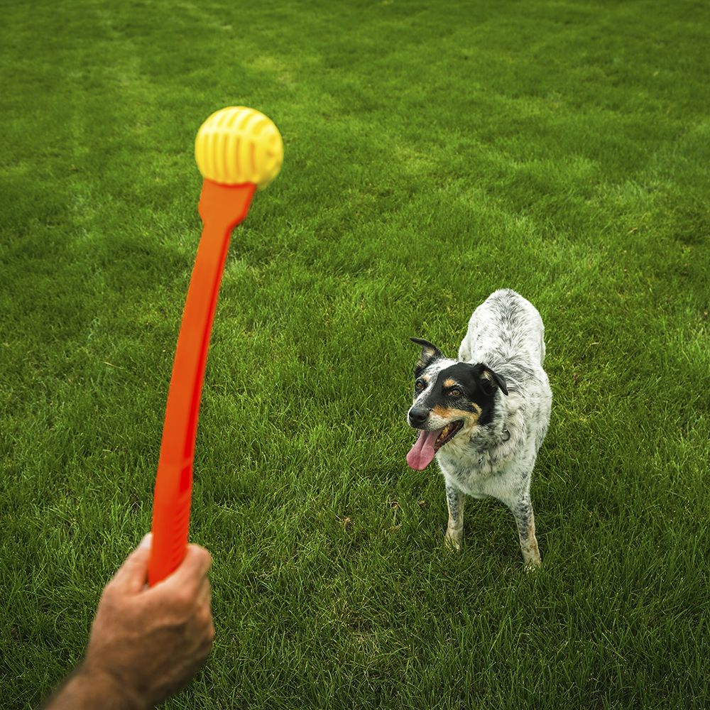 HUNTER Wurf-Hundespielzeug FLINGERZ™ Ball, ca. 47 cm, Ø = 7 cm