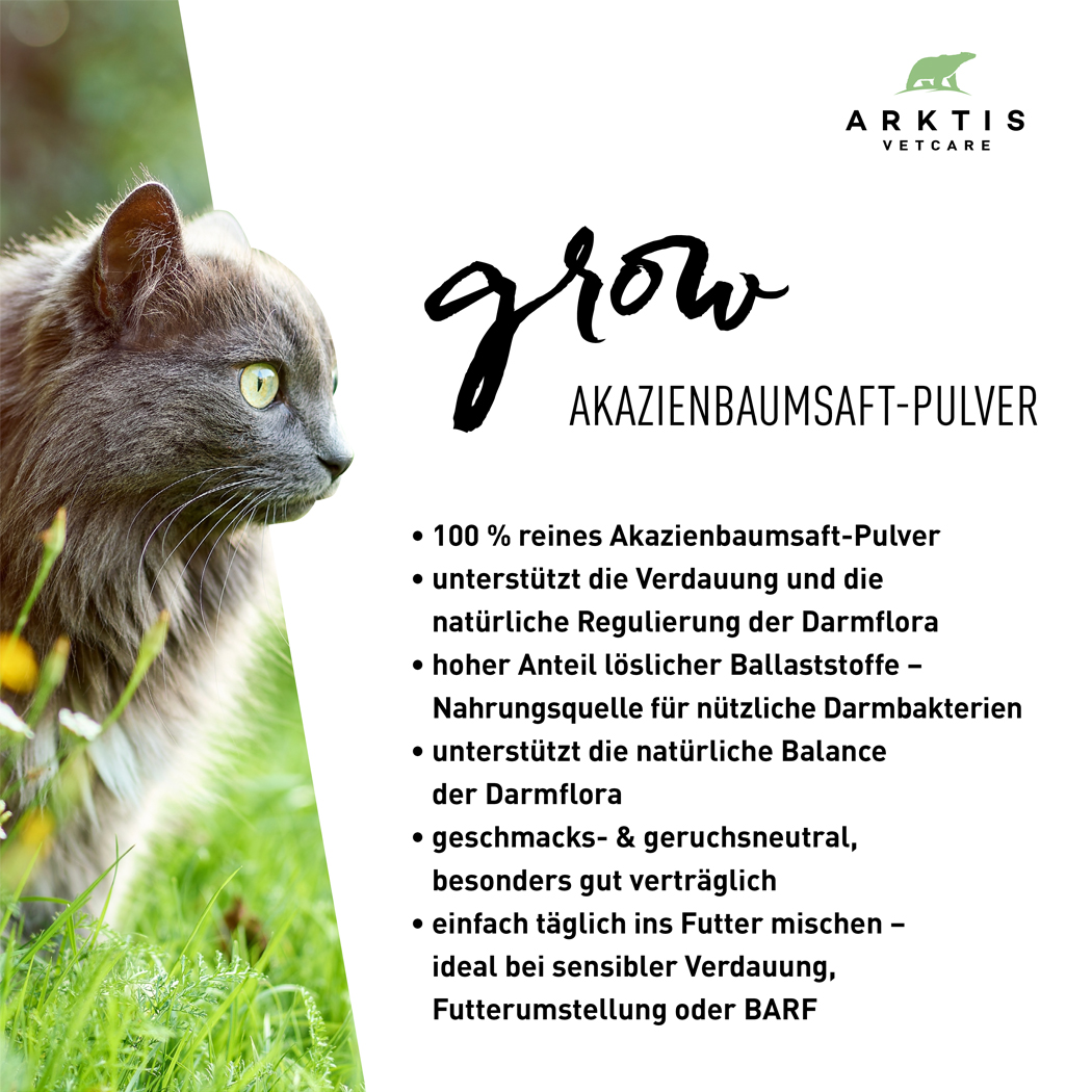 Akazienbaumsaft-Pulver, Katzensicht, Tiernahrung, Pulver, Diätfutter