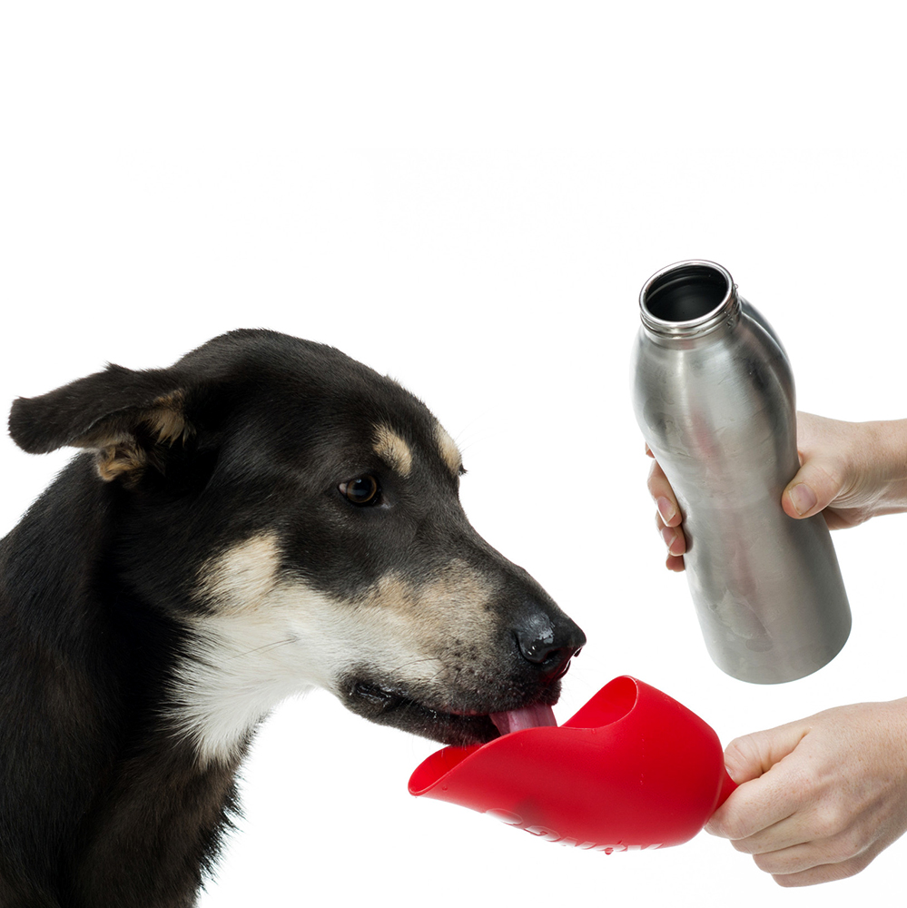 Hund, Wasserflasche, Tiernapf, Metallflasche, Futter-/Fütterungszubehör