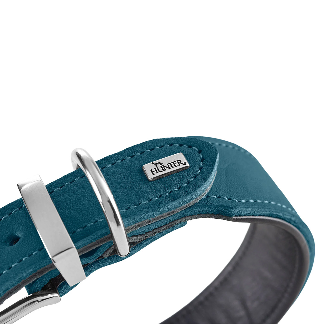collar, Hundhalsband, teal, Metall-Buckle, verstellbar