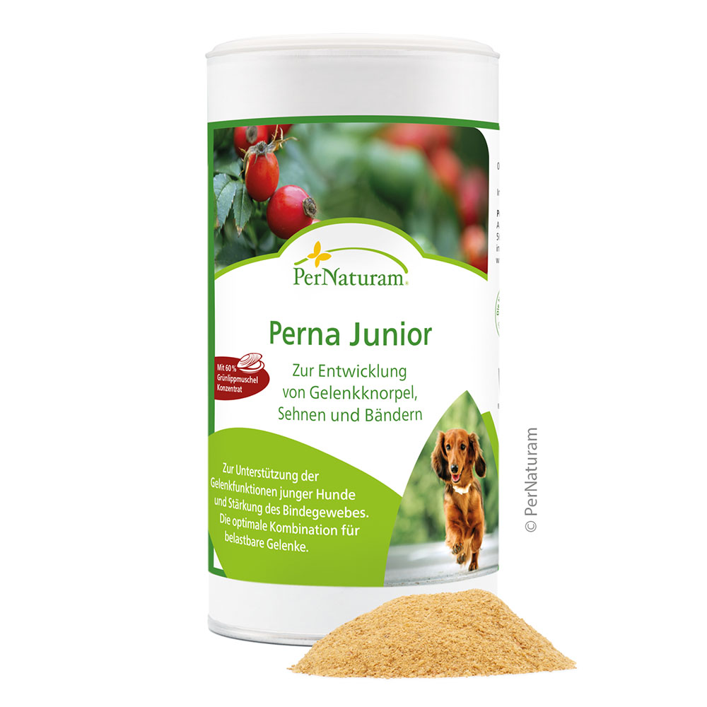 PerNaturam Perna Junior in 250g oder 1.000g