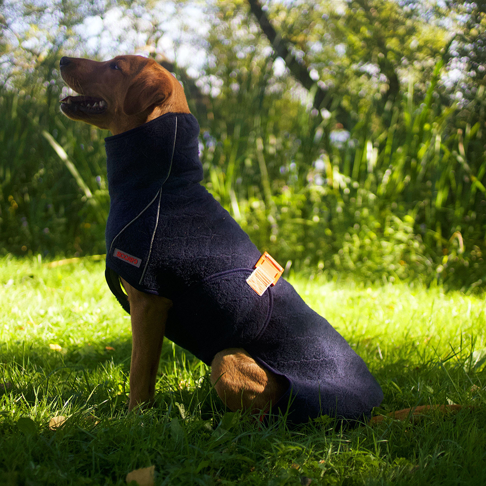 Hund Pullover, Tierkleidung, strickjacke, orangees Halsband, Outdoor