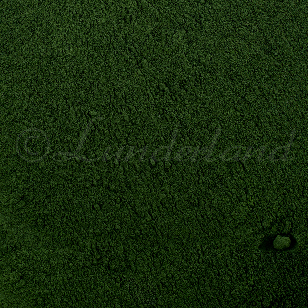 Gras, Pflanze, Rasen, Moos, Textur