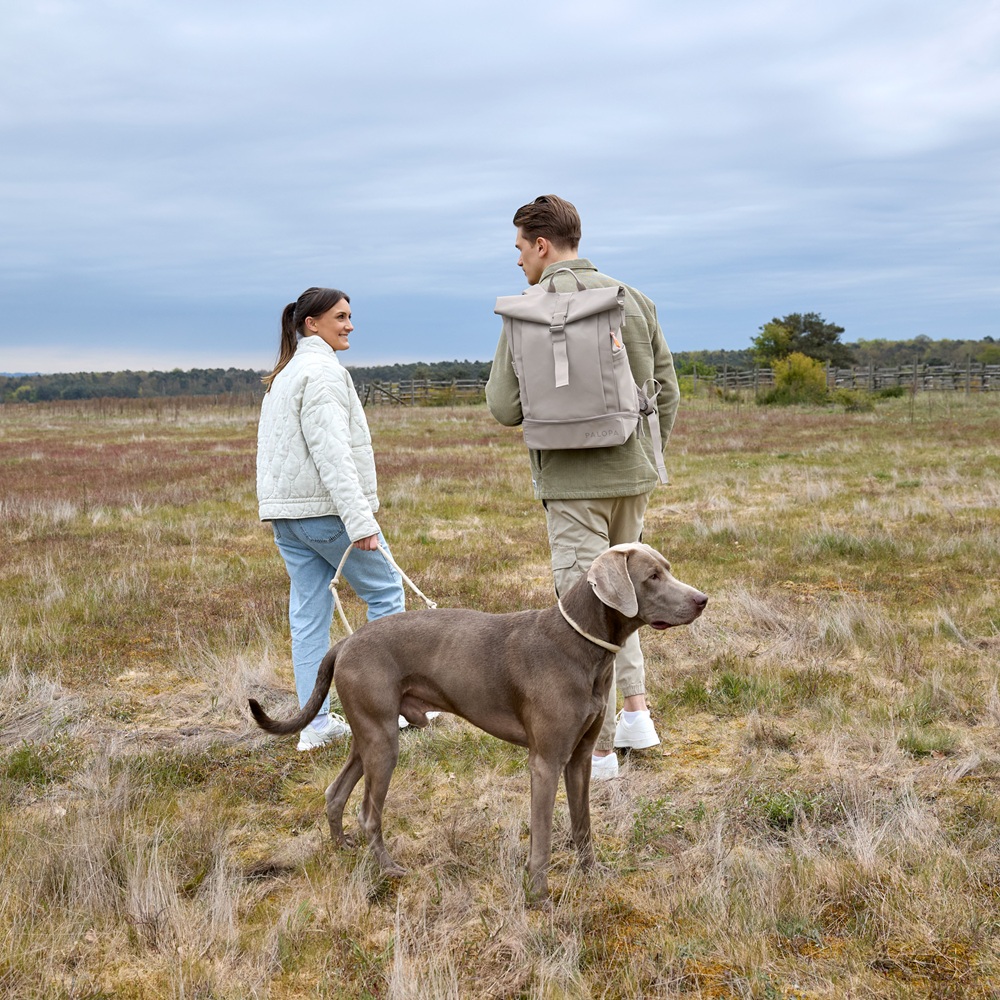 Person, Hund, Spazierengehen, Schuh