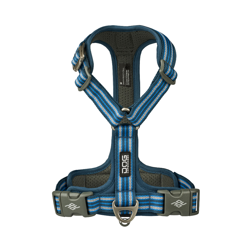 Harness
