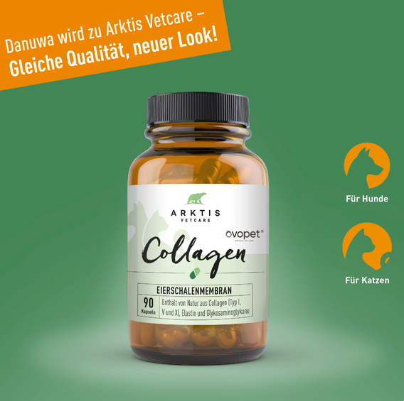 Collagen, Ergänzungsmittel, Flasche, Kapseln, Gesundheit