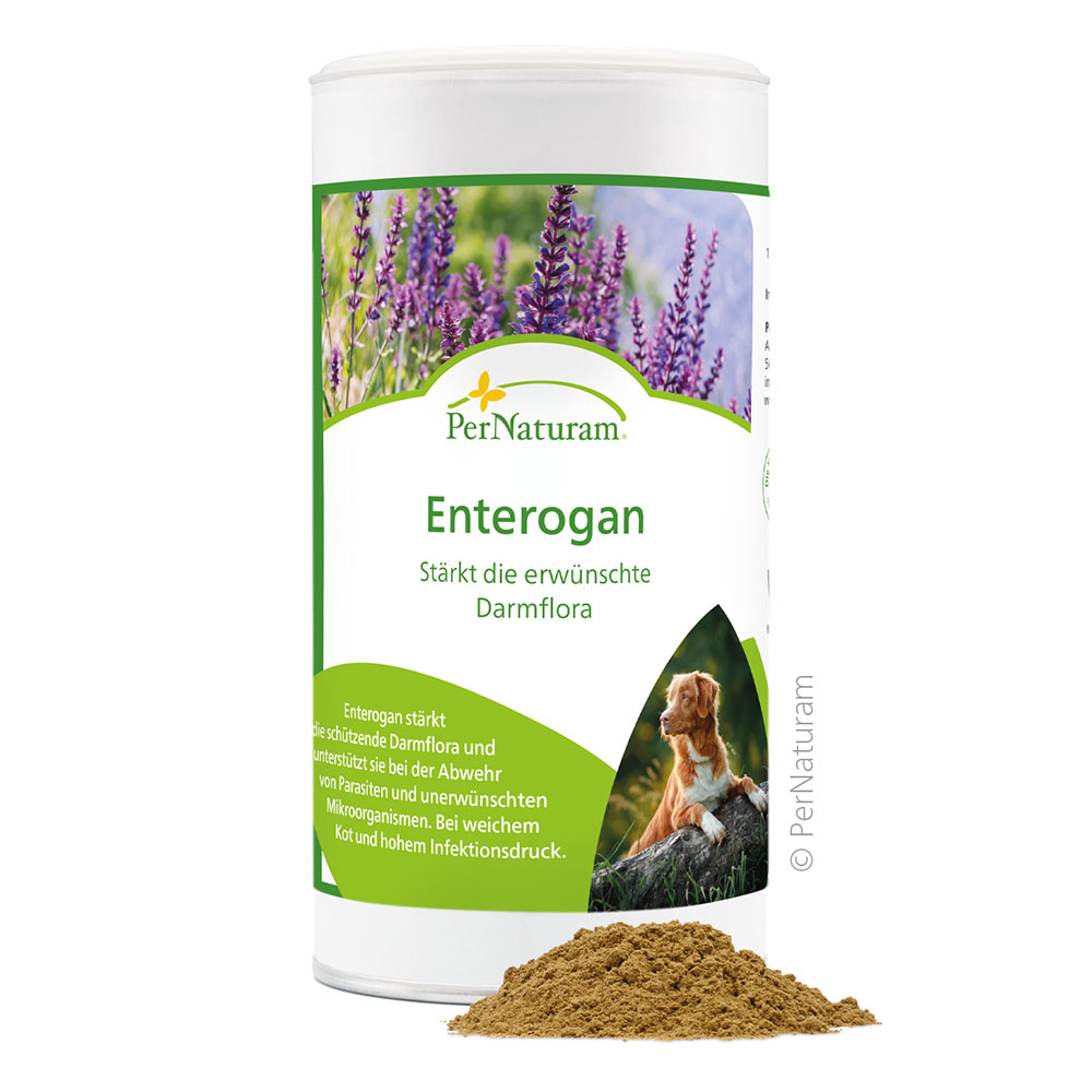 Pernaturam Enterogan 250g Kräuterig, Kräuter, Boden, Blume, Hund
