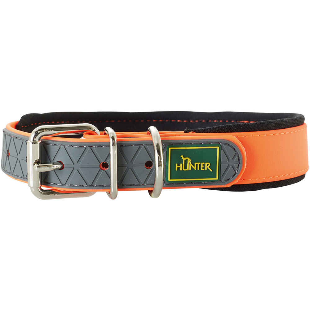 Halsband, Hund, Gurtband, Schnalle, Orange