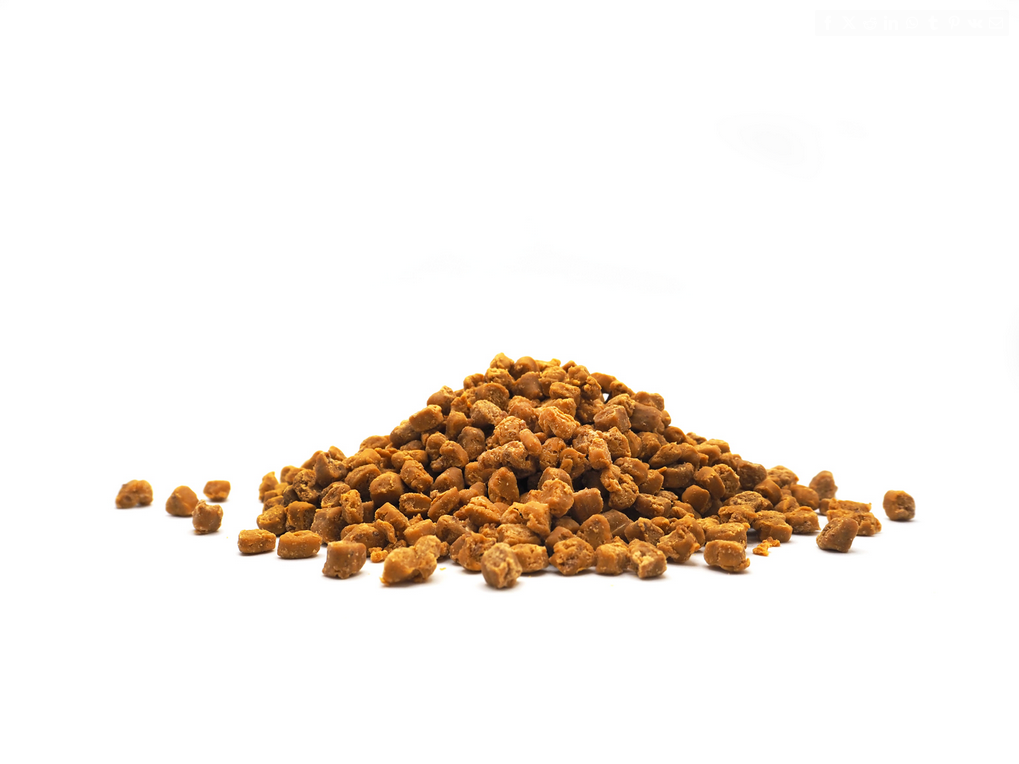 Pflanze, Blütenstaub