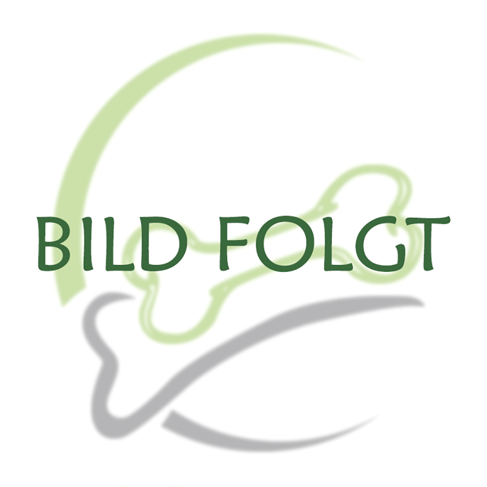 Logo, Wasserzeichen, Grüner Kreis, Grauer Strich, Textüberlagerung