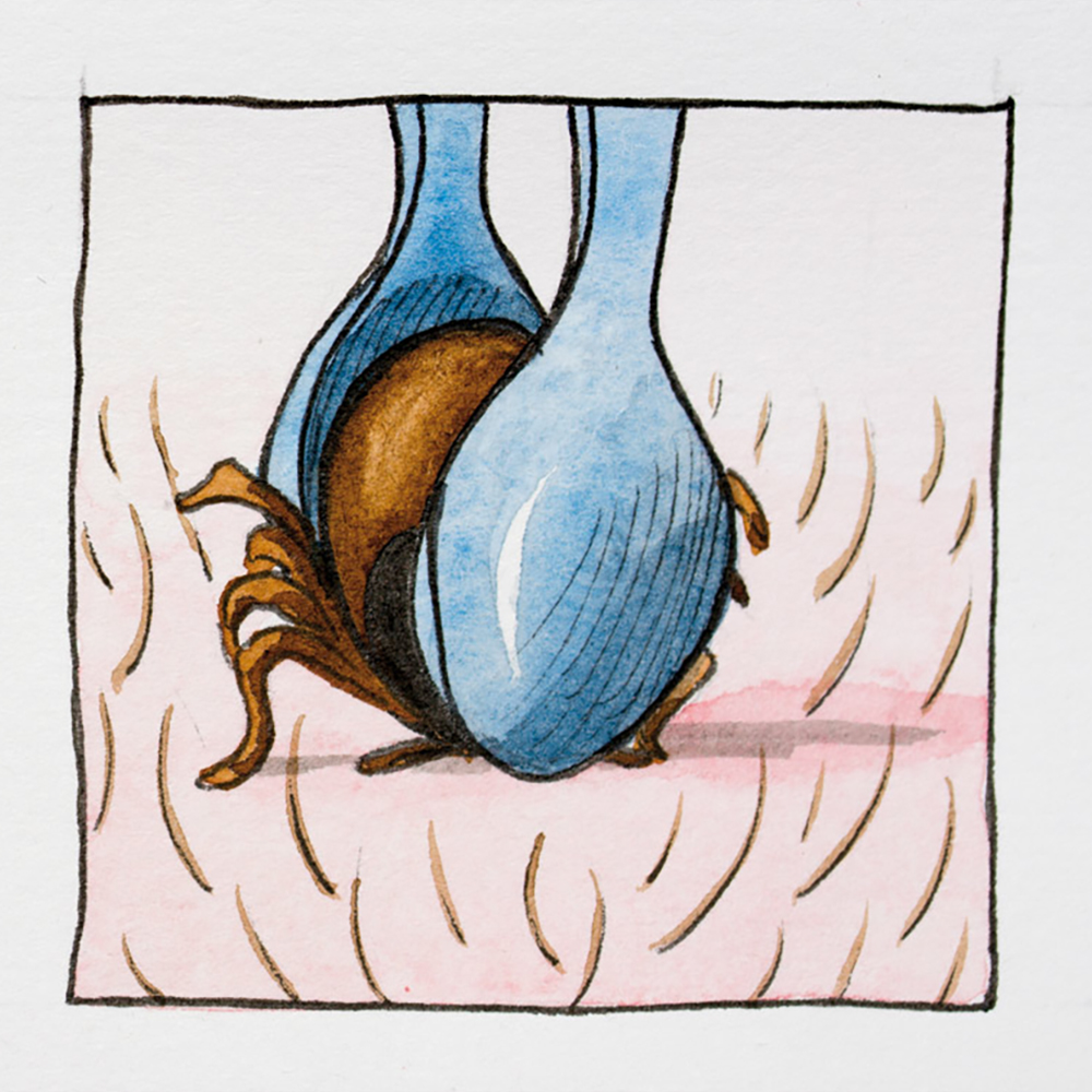 Kunst, Malerei, Tier, Vogel, Dekoration für Zuhause