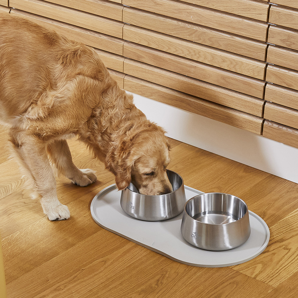 Hunde Napf, Nassfutter, Ruhespeis, Edelstahl Napf, Futterstation