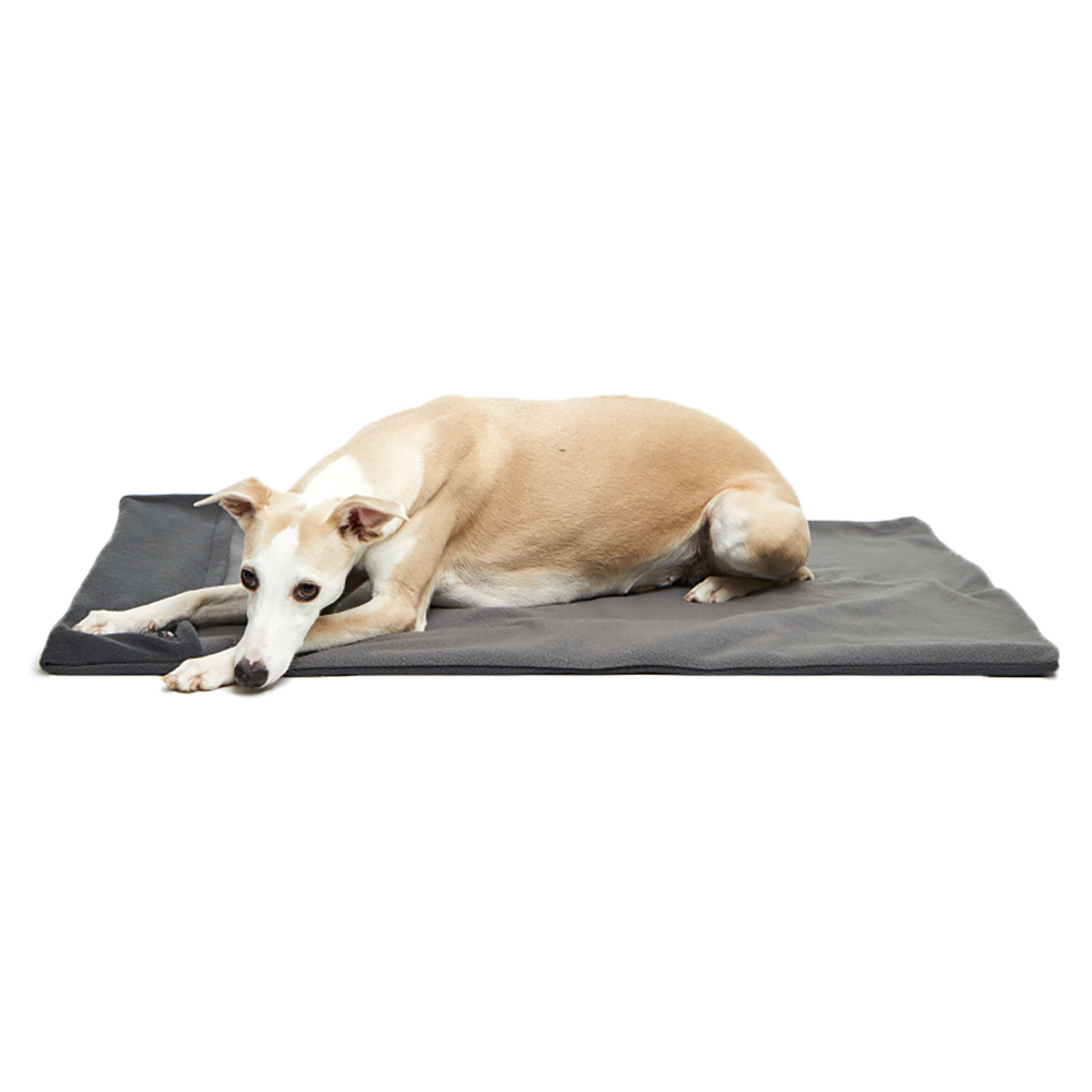 Hund, HundeDecke, Graues Bettlaken, Hundeunterlage, Samtpfote