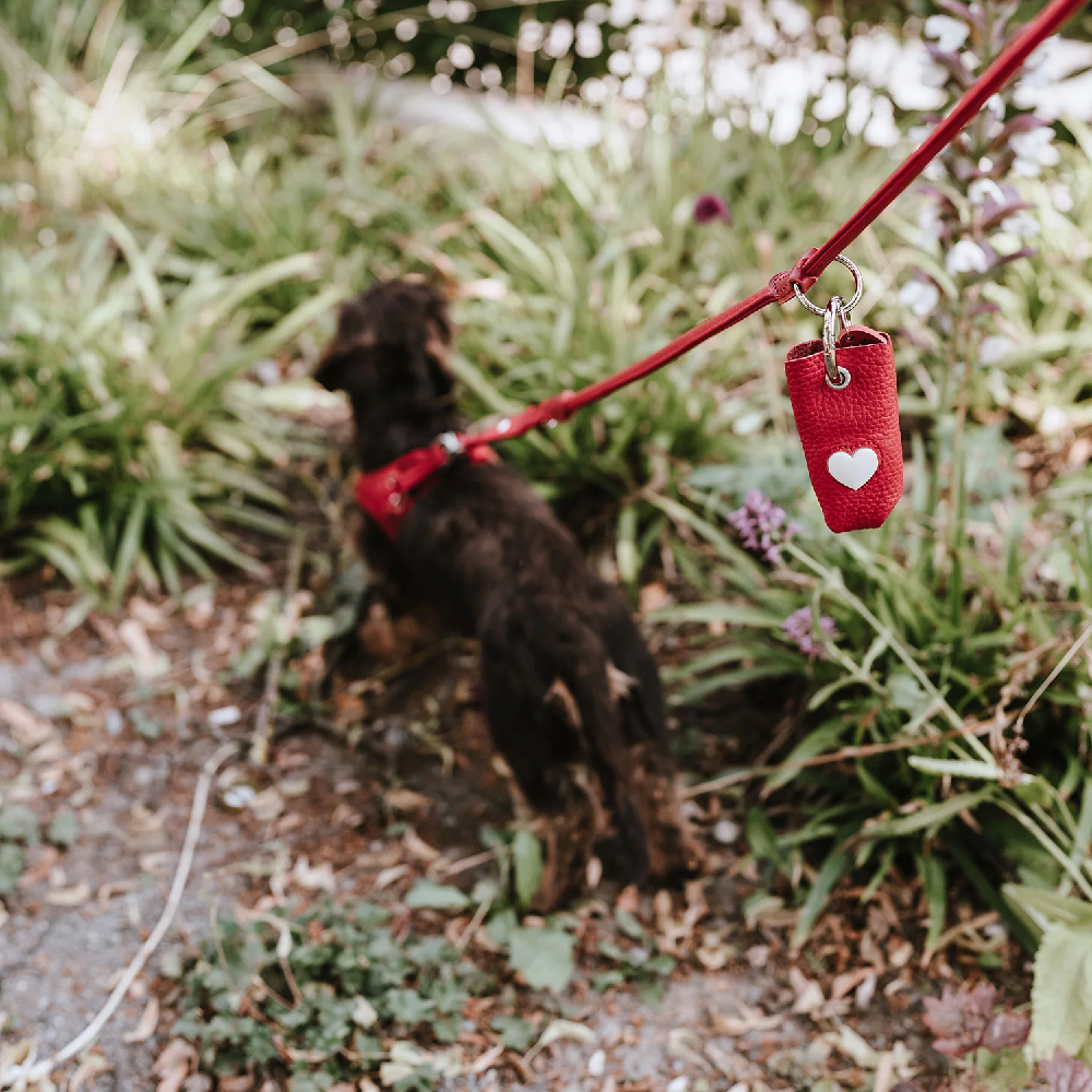 hundeleine, rote leine, herzanhänger, haustierzubehör, outdoor leash