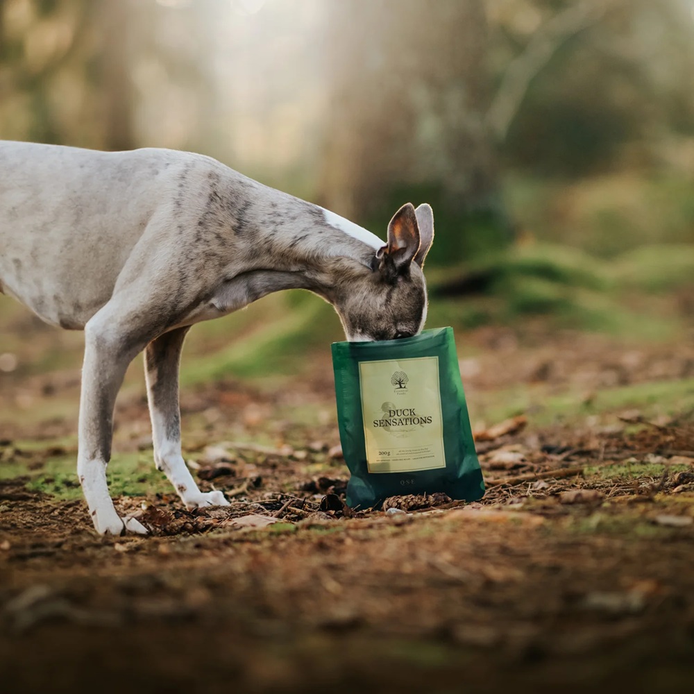 Hundefutter, Beutel, Beutelgröße 200g?, Kauknochen?, Sache