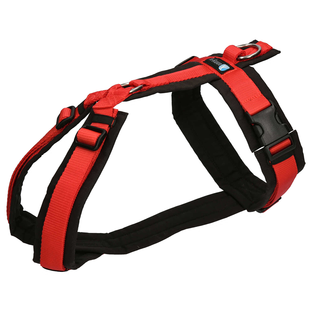 Hundegeschirr, Gurtband, Rot-schwarz, Verstellbar, Schnalle, Hundegeschirr, Gürtelgeschirr, Roter Hundegeschirr, Verstellbares Hundegeschirr, Klickverschluss