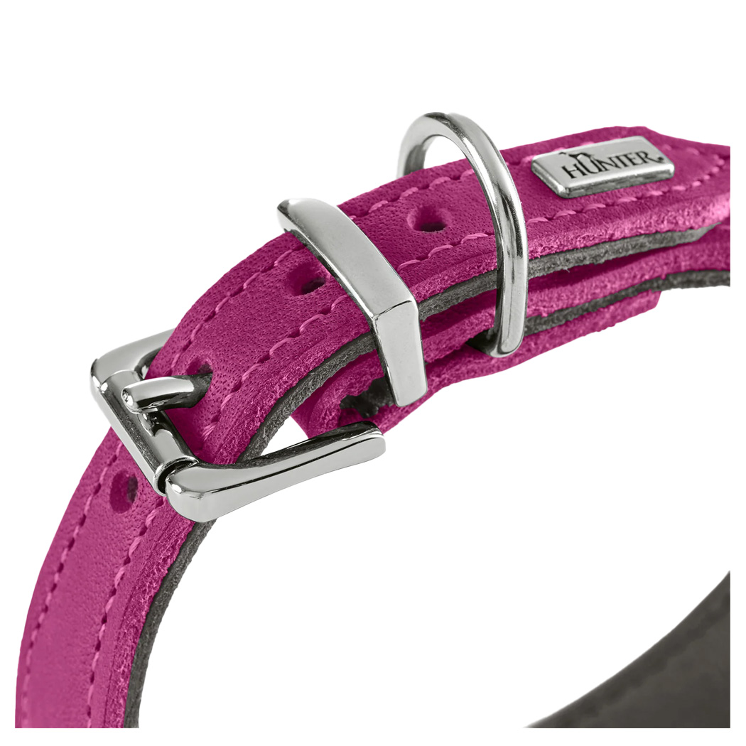 Halsband, Pink, Leder, Nieten, Schnalle