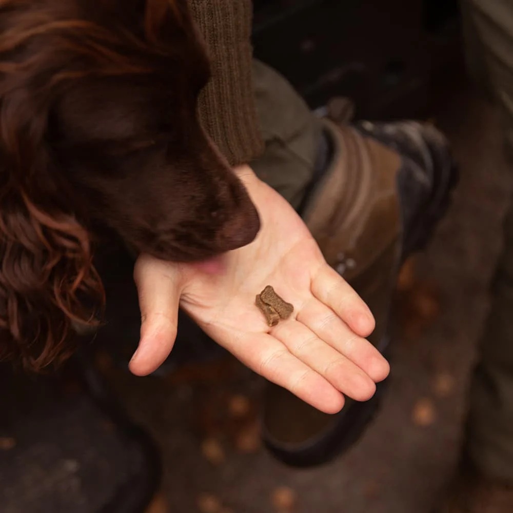 Körperteil, Finger, Hand, Person
