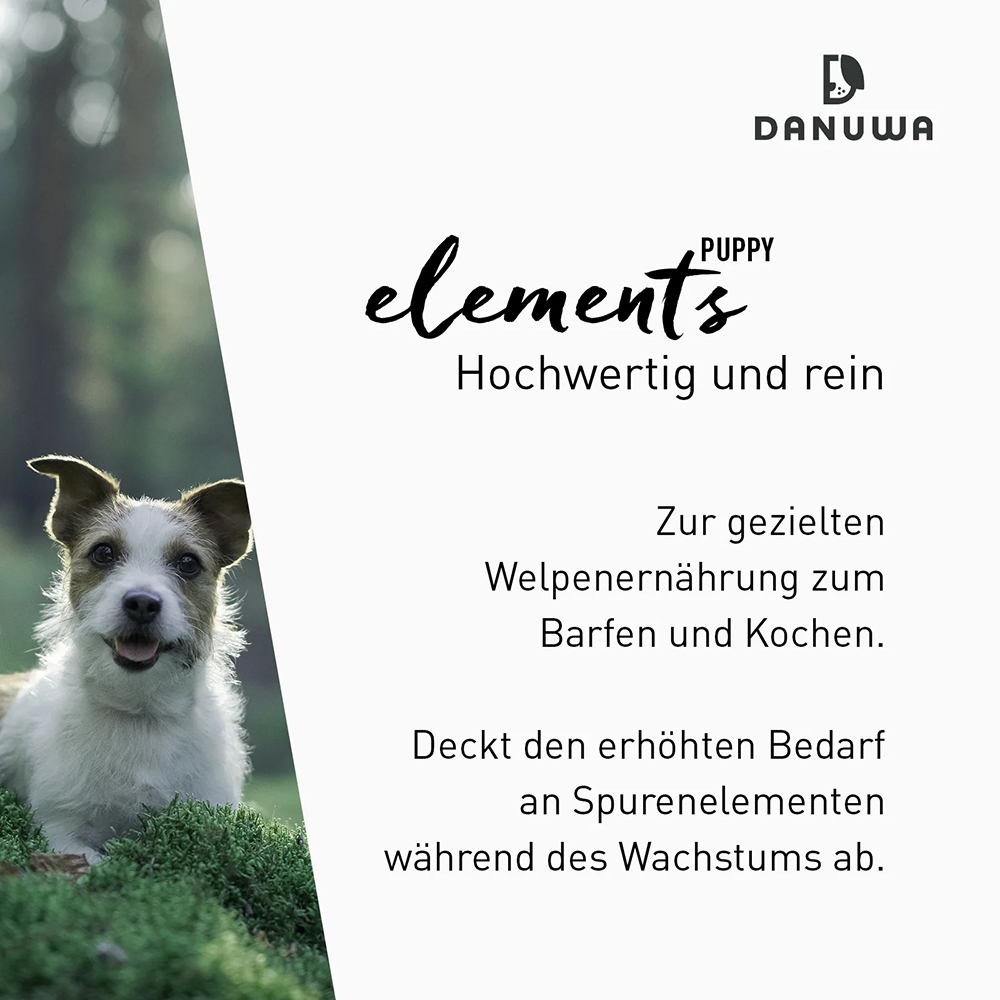 Werbung, Plakat, Hund, Säugetier, Haustier