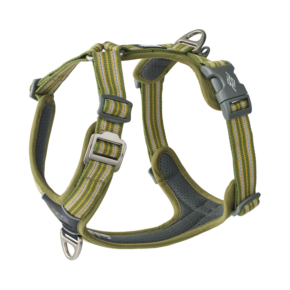 Halsband, Hundehalsband, gepolstert, grünes Muster, verstellbar