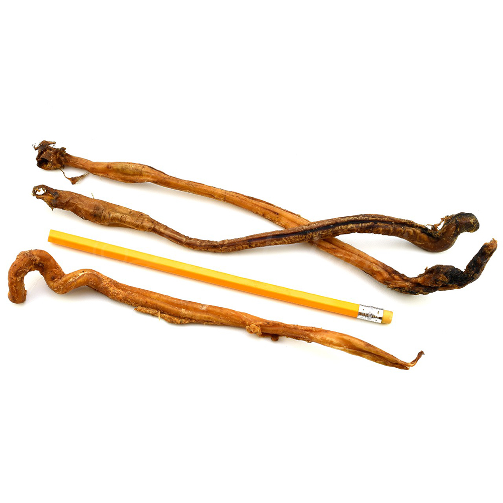 Trockene Wurzeln, Wurzelstange, Dünne Wurzelröhren, Knochenartige Wurzelfasern, Bleistift zum Vergleich