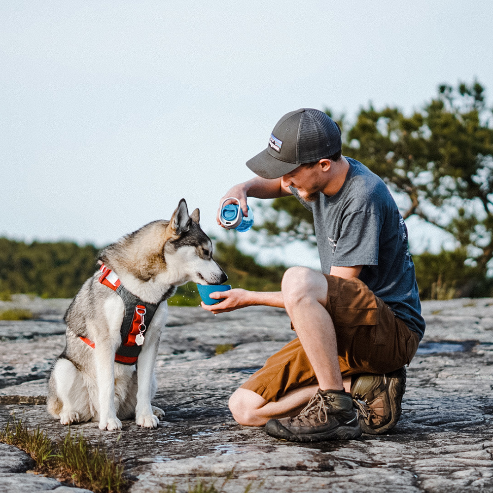 Hundehungr, Hundefutter, Outdoor, Wolfhunde, Hundehalter