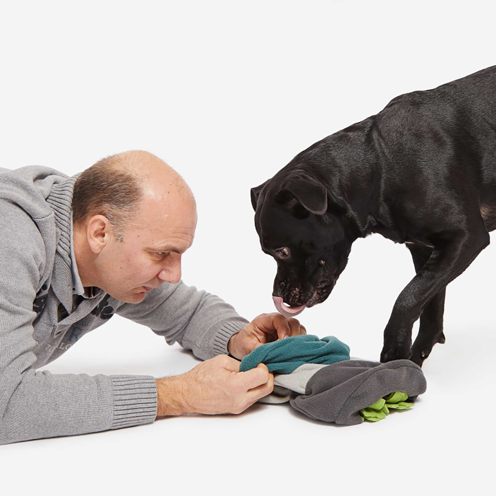 Erwachsener, Männlich, Mann, Person, Schuh