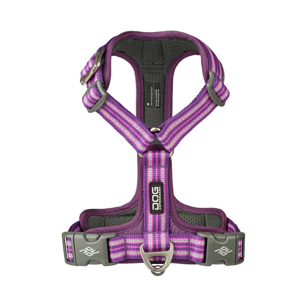 Hundegeschirr, Halsband Hund, Gurtband, Gurtbreite, Violett