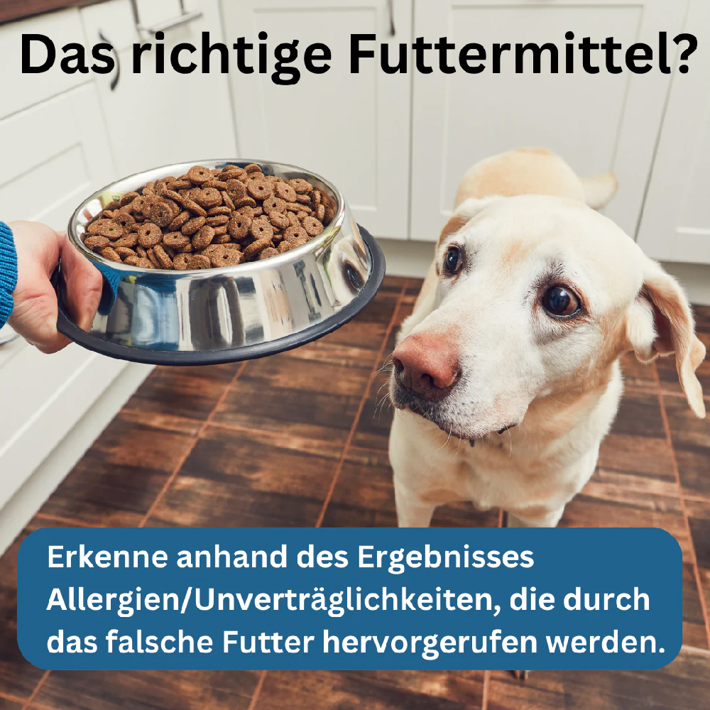 Hund, Hunde-Snacks, Fressnapf, Rundkorn-Knibbels, Trockenfutter