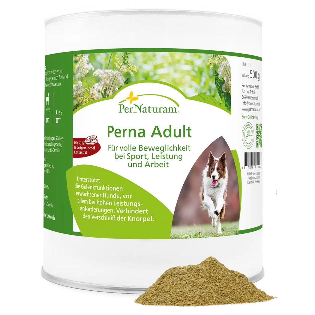 Hundefutter, Pulver, Senior, Kurkuma?, Grünlippmuschel Konzentrate