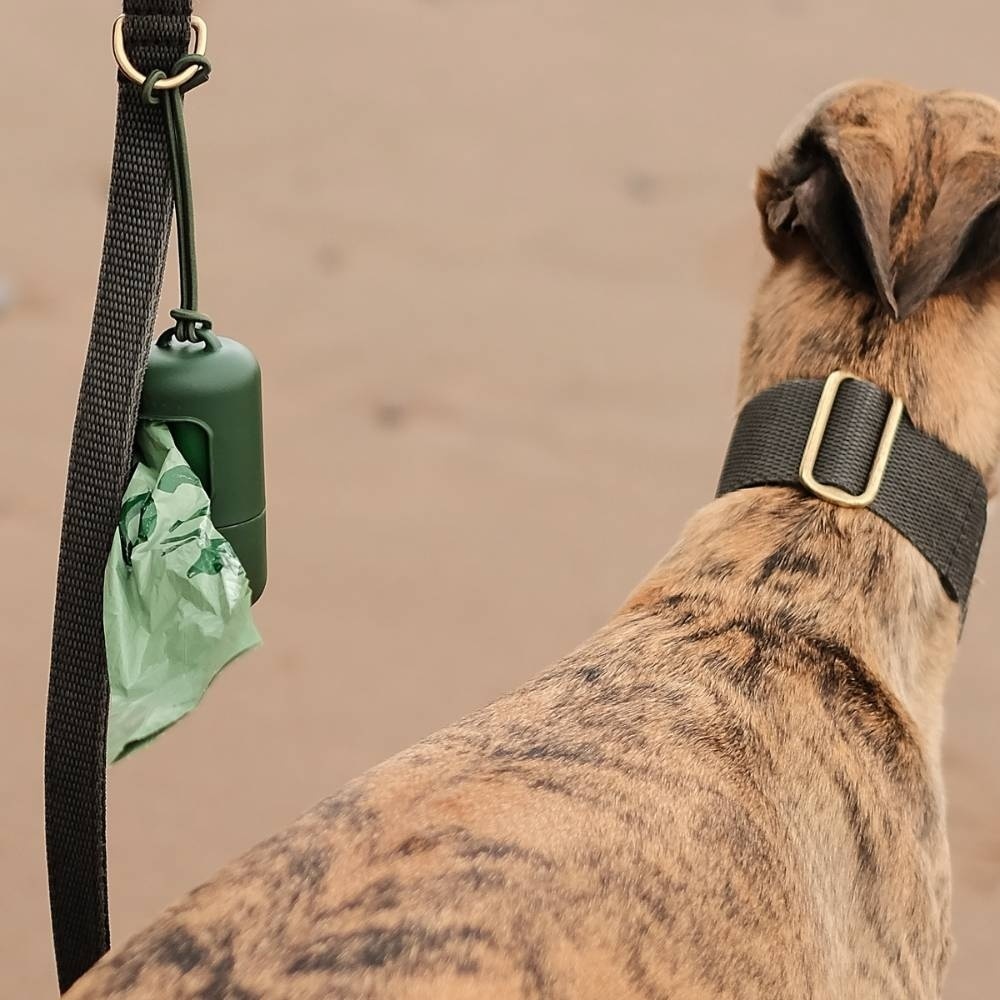 Hundehalsband, Gurt, grünes Abfallbeutel, Leine, Riemen